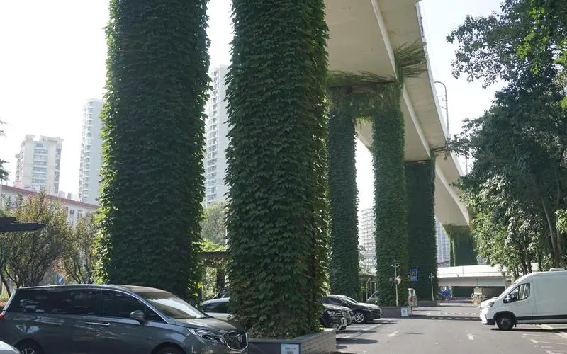 大同鱼池园林景观设计