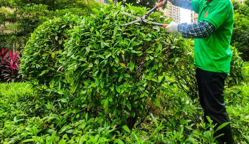 人社部有绿化工程师吗知乎