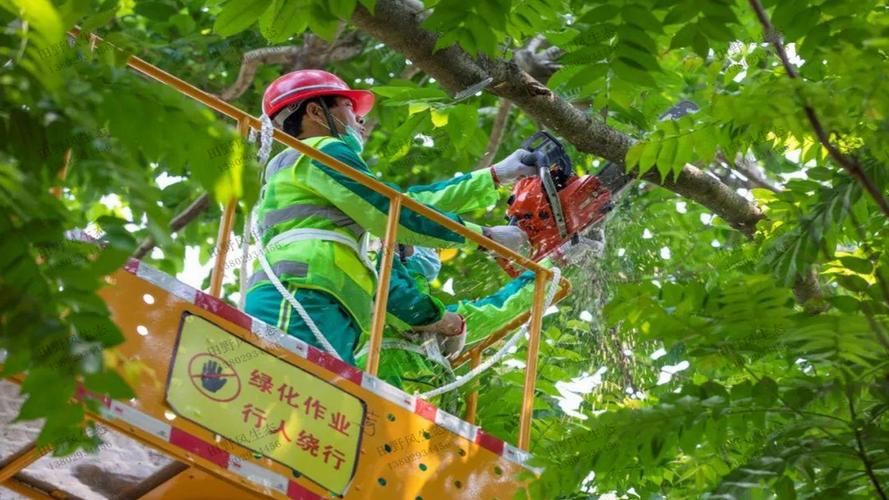 《关于明确杭州市区城市绿化补偿费征收有关事项的通知》政策解读
